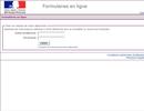 www.formulaires.modernisation.gouv.fr