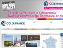 www.cci.fr
